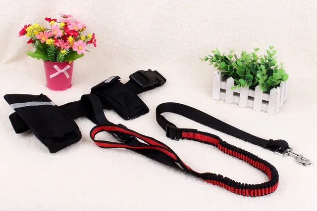 Multifunctional running dog leash Nylon cushioned stretch dog leash for morning run Red Black - Shop at LoveMi