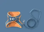 Orange Blue