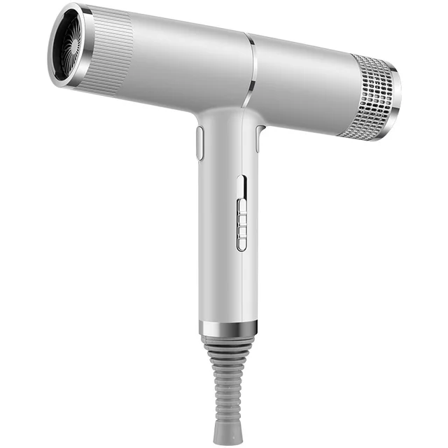 New Concept Hair Dryer Household Hair Dryer Silver - Shop at LoveMi