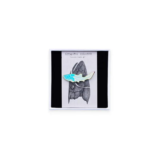 Wannian Streamer Fossil Brooch Designer Original Badge - Shop at LoveMi