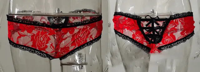 Sexy Lingerie Ladies Lace Transparent Bow Briefs Briefs Thong Red - Shop at LoveMi