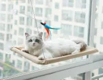 Cat Hammock Feather Toy