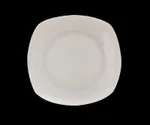 10 Inch Large Plate