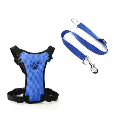 Retractable Leashes