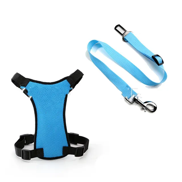 Mesh Chest Back With PP Seat Belts Can Be Customized Light Blue - Shop at LoveMi