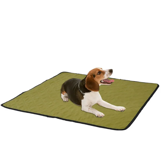 Re Washable Pet Absorbent Non Slip Changing Pad Green - Shop at LoveMi