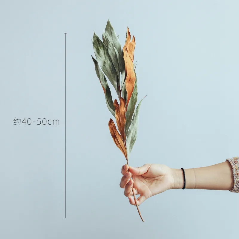European Imported Double-Sided Leaf Dried Flowers Japanese Retro Style Natural Real Flower Bouquet - Photo Colour