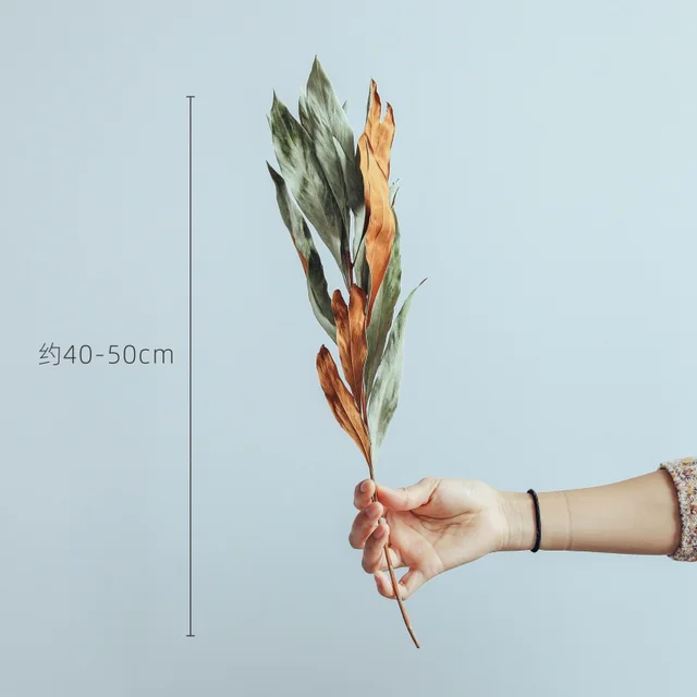 European Imported Double-Sided Leaf Dried Flowers Japanese Retro Style Natural Real Flower Bouquet - Photo Color - View 1