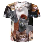 Tm10152-5Xl