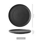 10 Inch Disc
