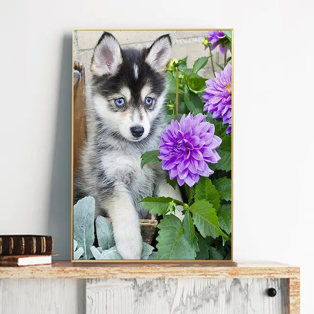 Diamond Painting Full Of Diamonds DIY Dog Home Decoration Painting Black - Shop at LoveMi