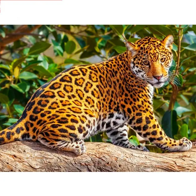 5D Diamond Painting Leopard Baby Leopard - Shop at LoveMi
