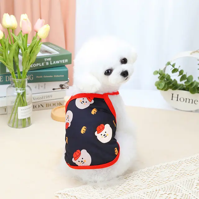 Teddy Red Riding Hood Bear Sling Black - Shop at LoveMi