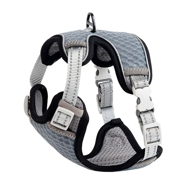 Going Out For A Cat Walk, Pet Cat Chest Strap Grey - Shop at LoveMi
