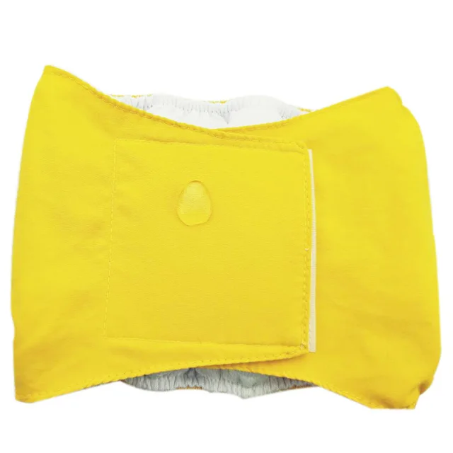 Special Courtesy For Pets With Male Dogs Yellow - Shop at LoveMi