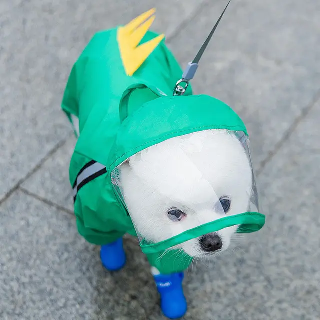 Small Dog Puppies Autumn Pet Rainy Clothes Green - Shop at LoveMi