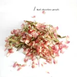 Red Qiaomei Petals 3G