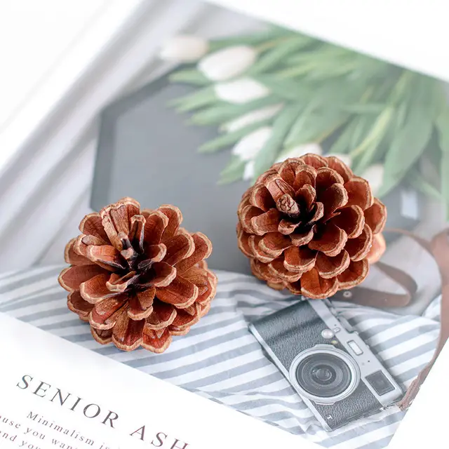 Fire free Cinnamon Natural Pine Cone Dried Flower Aroma Diffuser Cup 4 Style - Shop at LoveMi