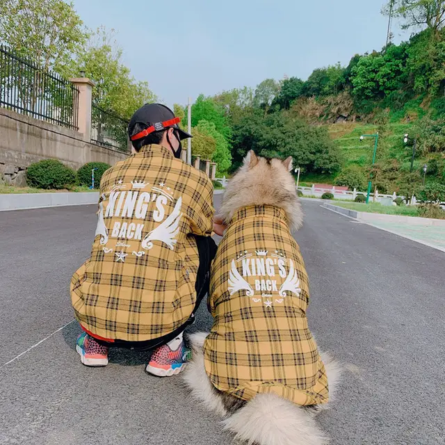 Spring And Summer Thin Section Teddy Cat Bullfighting Golden Retriever Alasamo Dog Clothes Four Seasons Yellow - Shop at LoveMi