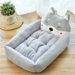 Shiba Inu Gray