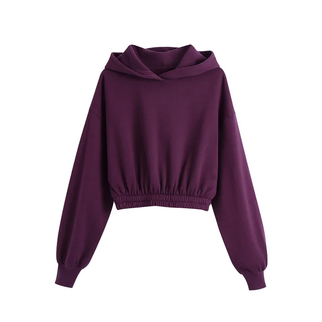 Short Hooded Long Sleeved Sweater Elastic Waist Casual Jogging Pants Suit Purple - Shop at LoveMi