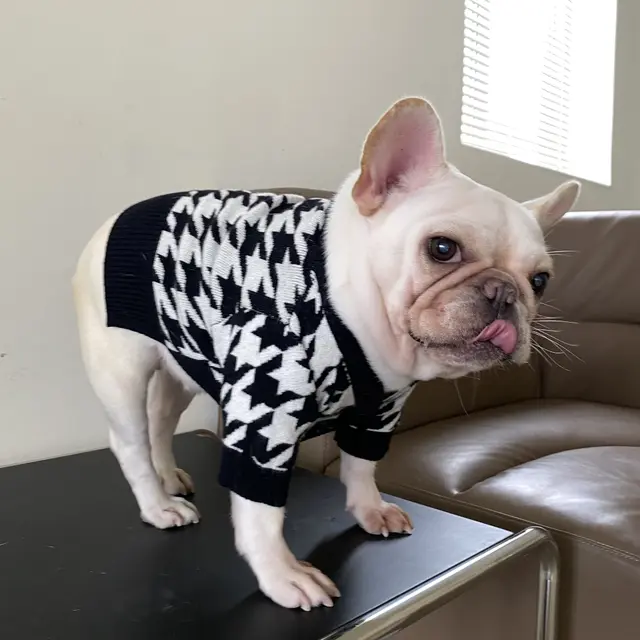 Pet Tide Brand Net Red Clothes Dog Cat Fighting Teddy Schnauzer Net Red Puppy Fall Winter Sweater Sweater Default - Shop at LoveMi