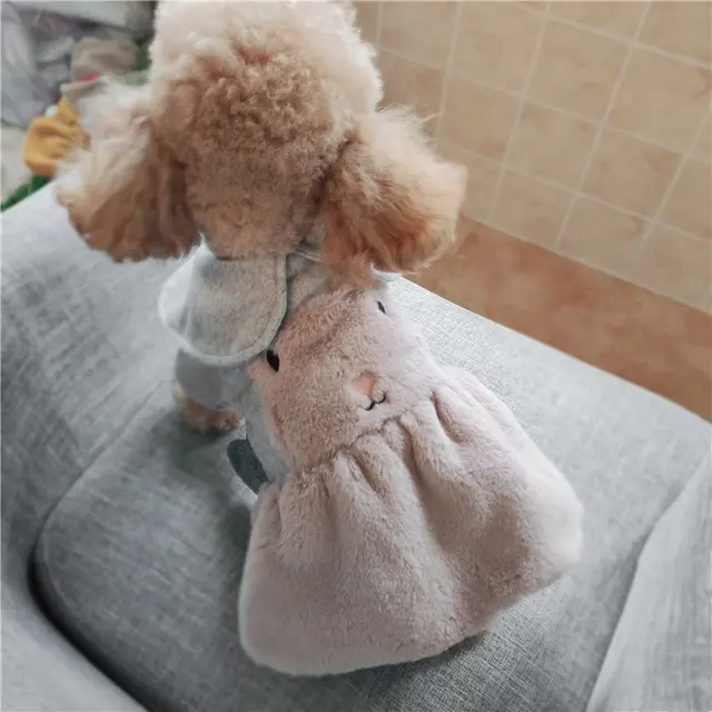 Spring, Autumn And Winter Plush Rabbit Dress Pink - Shop at LoveMi