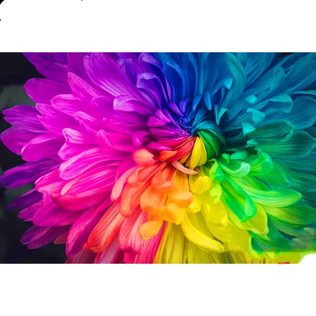 Diamond Painting Colorful Flowers 3D Embroidery Cross Stitch 5D Home Decoration Colorful - Shop at LoveMi