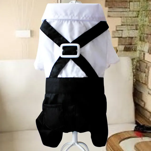 Teddy Dog British Bow Tie Suit Bib Black - Shop at LoveMi