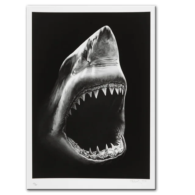 Modern Canvas Painting Shark Canvas Painting Photo Color - Shop at LoveMi