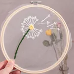 6 Color