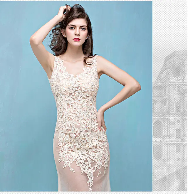Lace Transparent Mermaid Evening Dress Champagne - Shop at LoveMi