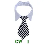 Cm1 Style