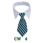 Cm4 Style