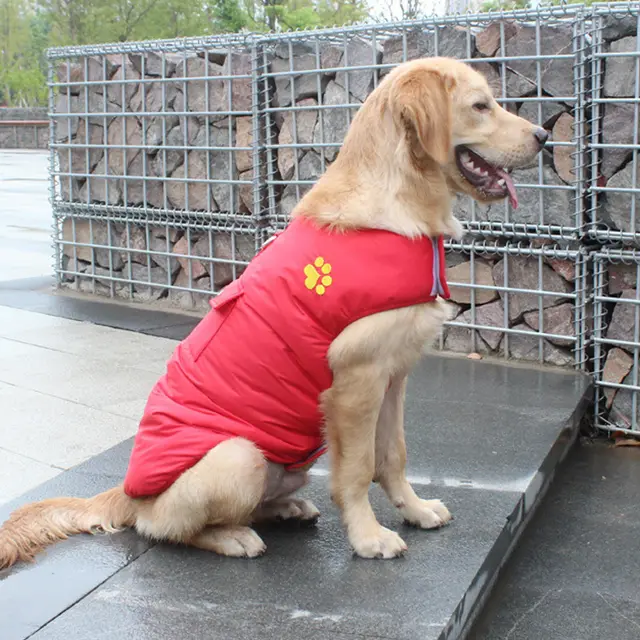 Waterproof Dog Vest Jacket Two Side Clothes Puppy Pet Clothing Warm Winter Dogs Coat For Small Medium Large Dogs Red - Shop at LoveMi