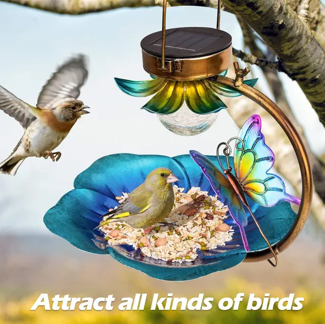 Solar Crack Ball Bird Feeder Photo Color - Shop at LoveMi