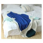 Art Blanket4