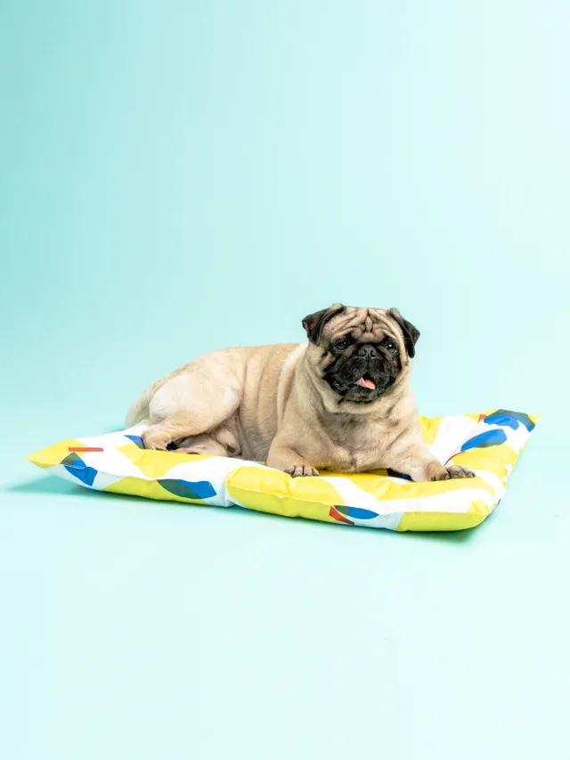 Pet Ice Pad Cooling Pad Gel Cooling Sleeping Pad Non Sticky Dog Pad Honey Lemon Tea - Shop at LoveMi