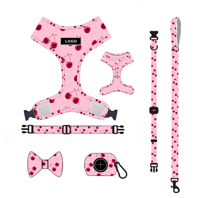Pet Supplies Dog Leash Set Pet Leash Pink - Shop at LoveMi