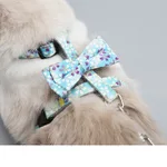 Bowknot Blue M