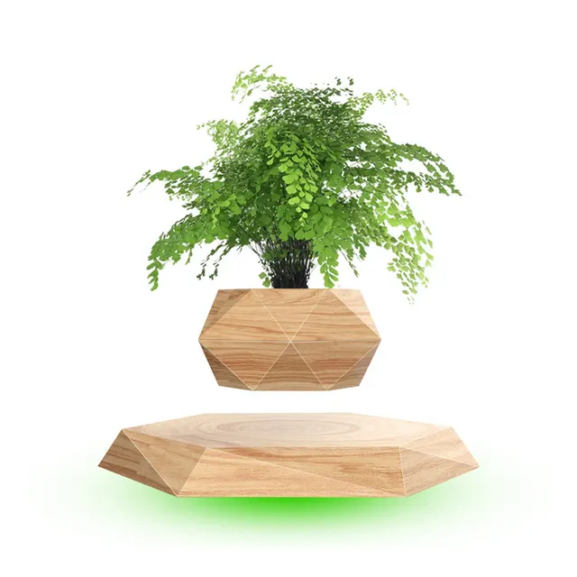 Magnetic Floating Bonsai Floating Plant Rack, Fashion Creative Gifts, Christmas Or Birthday Gifts Grain - Shop at LoveMi