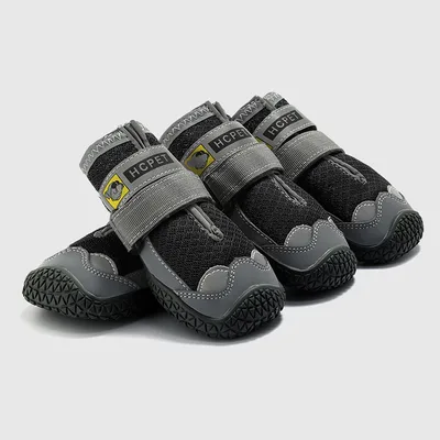 Pet Dog Shoes Summer Breathable Pet Shoes Two - Shop at LoveMi