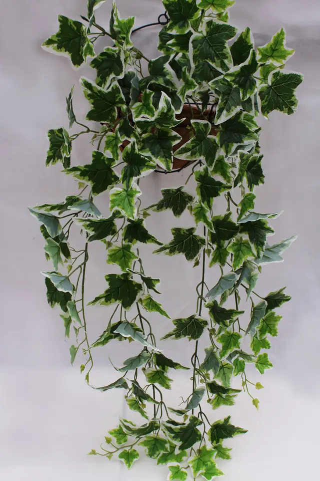 Wedding Supplies Simulation Green Plant Wall Accessories Artificial Hand White Edge Sweet Potato Leaf Wall Hanging Simulation Flower Crafts - Shop at LoveMi