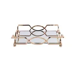 2Metal Tray