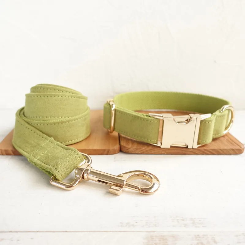 Fruit Green Yellow green Polyester Fiber Dog Collar Or Leash Traction Rope Set - Shop at LoveMi