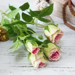 Pink Green