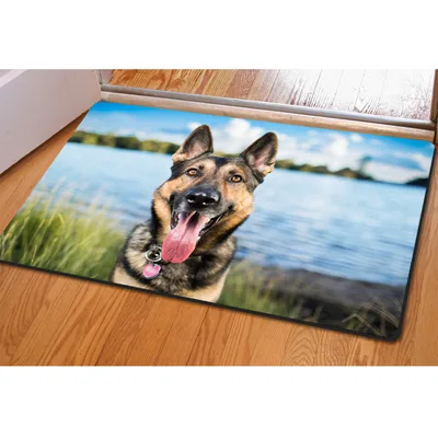 Animal Creative Printing Pet Mat Household Ottoman Cushion Non slip Bath Mat 10Picture Color - Shop at LoveMi