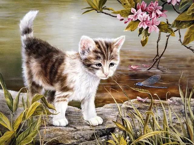 Colored Cat Kit Press Digital Oil Painting Acrylic On Canvas - Shop at LoveMi
