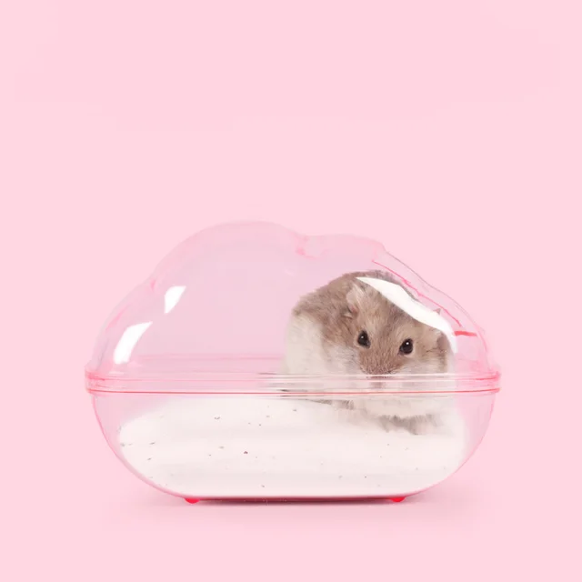 Hamster Cloud Bathroom Toilet Dual Purpose Bathtub Pink - Shop at LoveMi