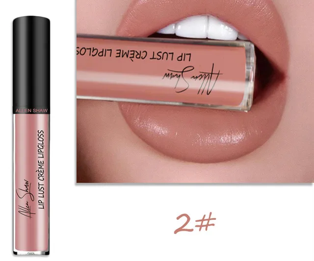 Silky Cream Texture Lip Gloss Shopee Cross Border Exclusive Lip Glaze Lip Gloss Lipstick 2 Color - Shop at LoveMi